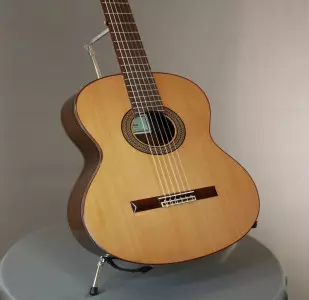 قیمت گیتار آدمیرا Diana - خرید گیتار آدمیرا Diana